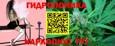 ГАЛЛЮЦИНОГЕННЫЕ ГРИБЫ Сланцы