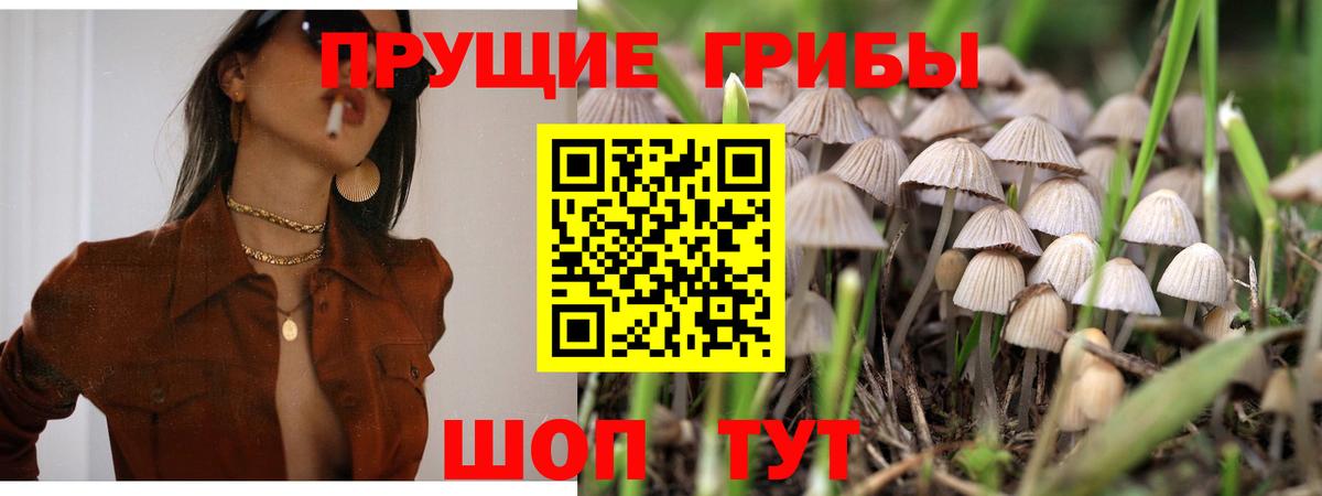Псилоцибиновые грибы Psilocybine cubensis  Псилоцибиновые грибы ЛСД  Павлово  Вход с VPN 